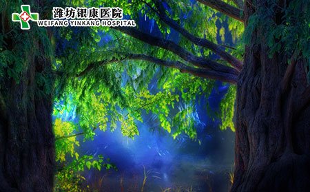 濰坊皮膚病醫(yī)院為您介紹皮膚過(guò)敏中醫(yī)治療有哪些?