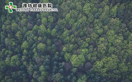 白癜風(fēng)患者可以運(yùn)動(dòng)嗎?運(yùn)動(dòng)出汗對(duì)身體有益嗎?